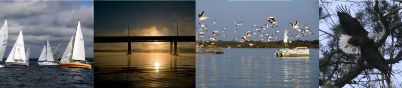 Top Pages 2 - 
